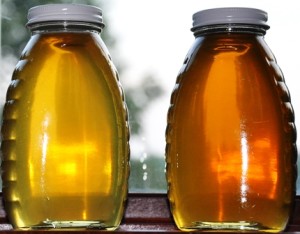 1st Honey Comparison