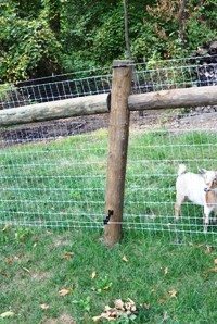 Farm Fencing
