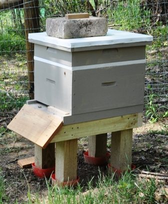 Reassembled Hive After Inspection
