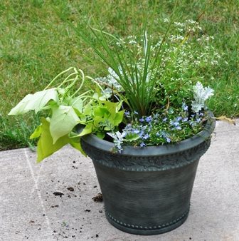 container planted