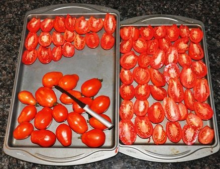 Preparing Tomatoes for Oven Drying