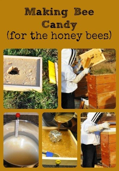 Making Bee Candy Collage