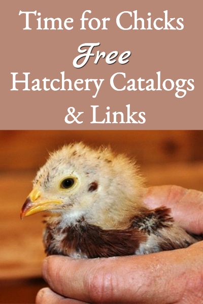 free chicken hatchery catalogs/links