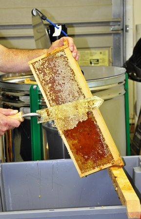 Honey Harvest Uncapping