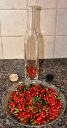 Hot Peppers In Bottle Prior To Olive Oil