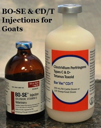Bo-Se and CD/T Injectables for Goats
