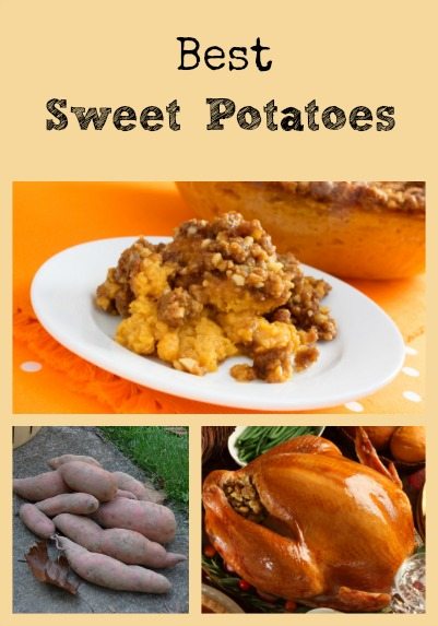 Best Sweet Potatoes Collage