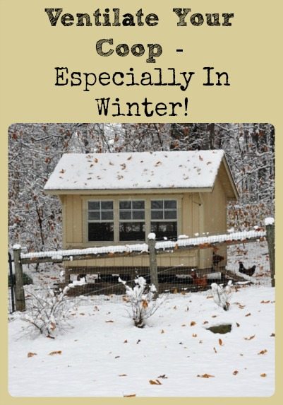 Ventilate Your Coop (Especially In Winter) via Better Hens and Gardens