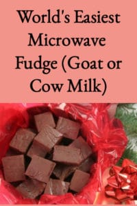 World’s Easiest Microwave Fudge (Goat or Cow Milk)