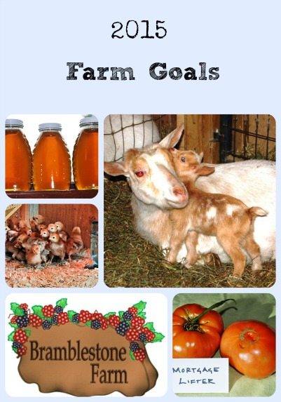 2015 Farm Goals Collage via Better Hens and Gardens