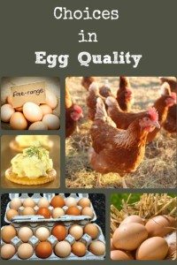 Choices in Egg Quality