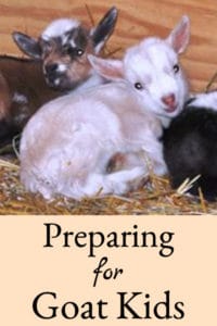 Preparing for Goat Kidding