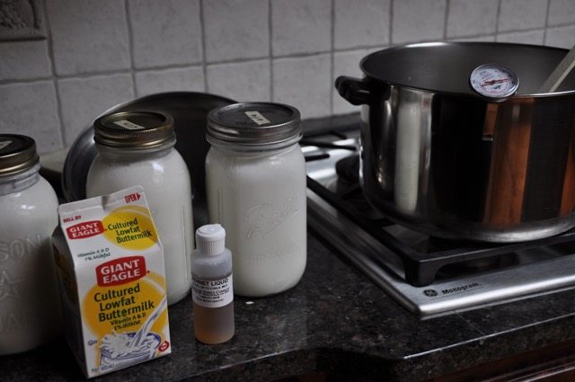 Ingredients for Easy Homemade Goat (or Cow) Milk Cheese