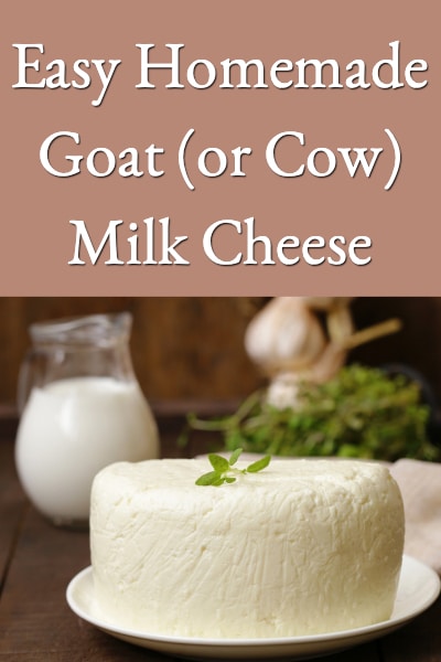 Easy Homemade Goat (or Cow) Milk Cheese