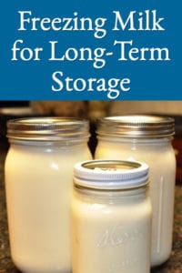 Freeze Excess Milk for Storage and Winter Use