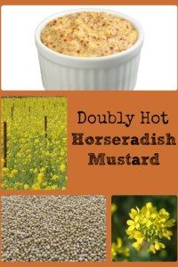 Doubly Hot Horseradish Mustard