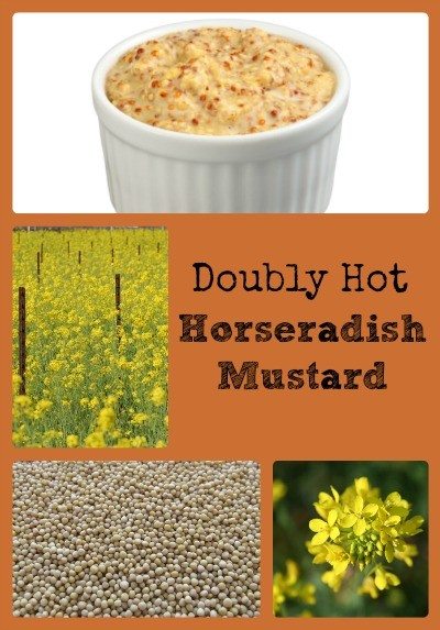 Doubly Hot Horseradish Mustard Collage