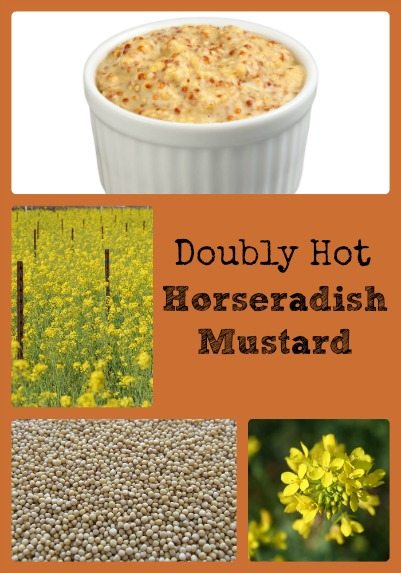Doubly Hot Horseradish Mustard Collage