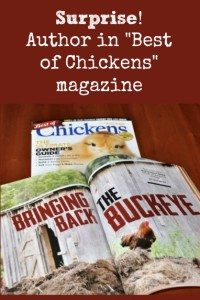 Surprise! “Best of Chickens” Magazine Author