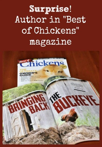 Best of Chickens magazine collage