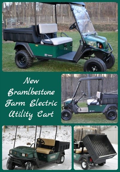 New Electric Utility Cart Collage