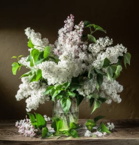 Forced Lilac Bouquet