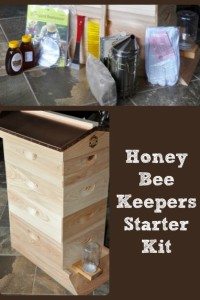 Beekeeping Starter Kit