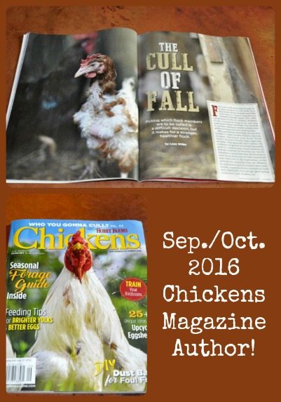 Sep_Oct 2016 Chickens Mag Collage