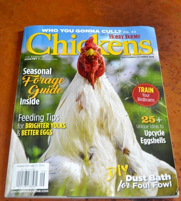 Sept/Oct 2016 Chickens Cover Photo