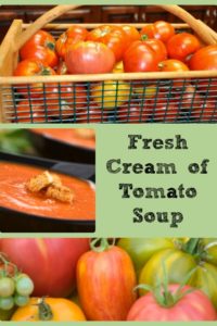 Fresh Cream of Tomato Soup