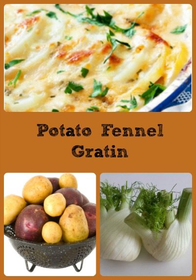 potato-fennel-gratin