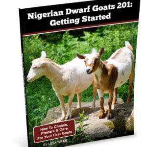 Nigerian Dwarf Goats 201 - Getting Started