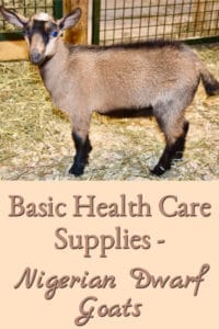 Basic Health Care Supplies – Nigerian Dwarf Goats