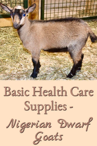 Basic Health Care Supplies