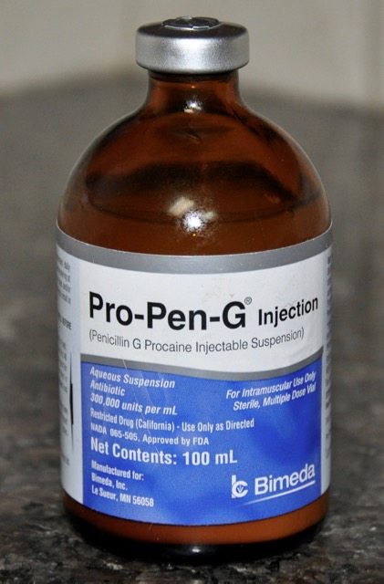 Penecillin