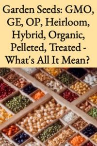 Garden Seeds – GE, GMO, Heirloom – What’s It Mean?
