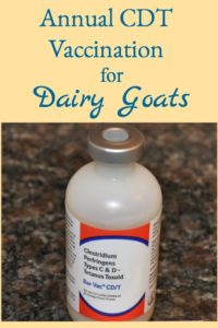 Annual CDT Vaccination for Goats