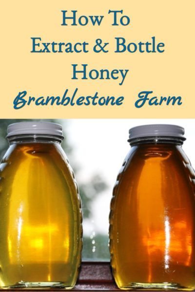 How To Extract & Bottle Honey