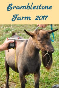 Bramblestone Farm 2017