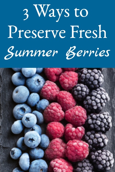 Ways to Preserve Fresh Summer Berries