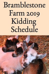 Bramblestone Farm’s 2019 Kidding Schedule