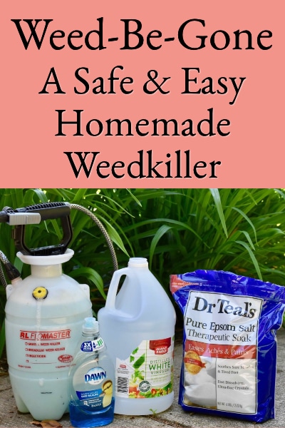 #10 top ten blog posts 2021 - Weed-Be-Gone, A Safe & Easy Homemade Weedkiller