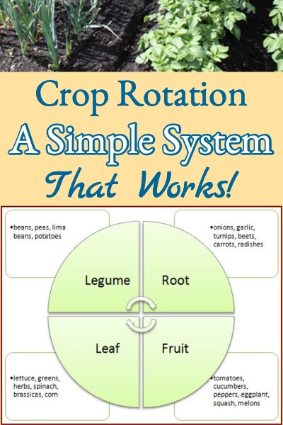 Garden Crop Rotation - A Simple System Better Hens & Gardens