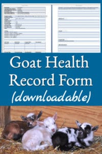 Goat Health Record Form (Downloadable)