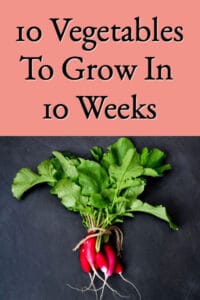 10 Vegetables To Grow In 10 Weeks (Or Less)