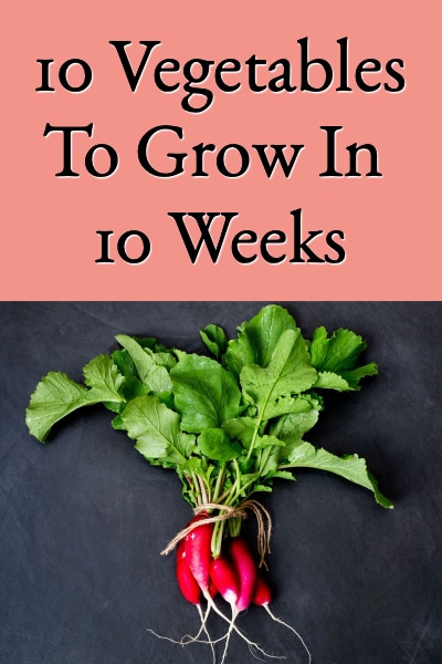 10 Vegetables To Grow In 10 Weeks