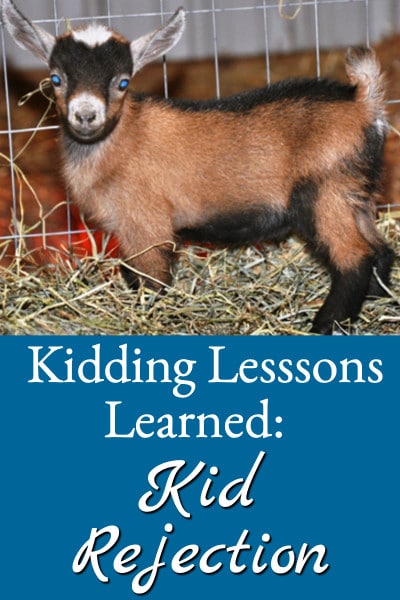 Kidding Lessons Learned Kid Rejection