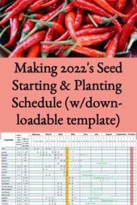 Making 2022’s Seed Starting & Planting Schedule (w/downloadable template)