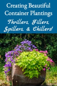 Creating Beautiful Container Plantings (thrillers, fillers, & spillers)