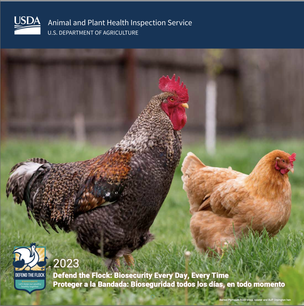 2023 Chickens Calendar Cover